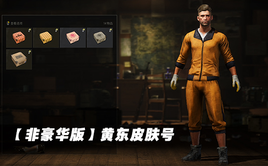 【非豪华版】黄东皮肤号