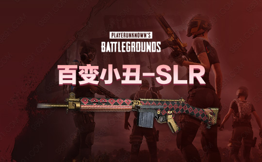 百变小丑-SLR