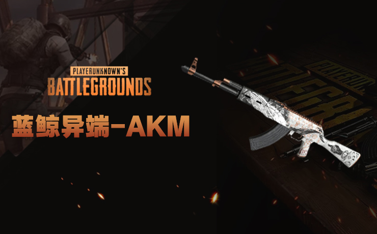 蓝鲸异端-AKM