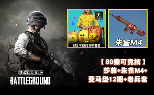 【80级可竞技】莎莉+朱雀M4+亚马逊12期+老兵套
