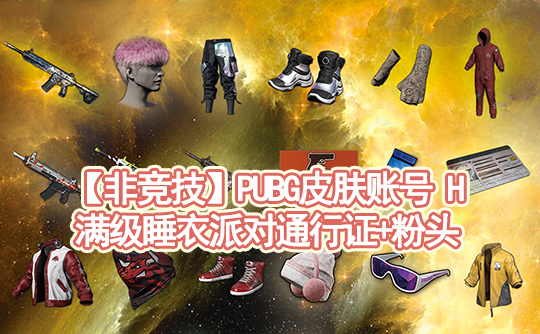 【非竞技】PUBG皮肤账号H（睡衣粉头NH套（无车））