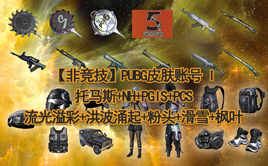 【非竞技】PUBG皮肤账号I(托马斯)